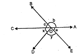 Selina Concise Mathematics Class 6 ICSE Solutions Chapter 24 Angles image - 17