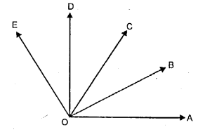 Selina Concise Mathematics Class 6 ICSE Solutions Chapter 24 Angles image - 19