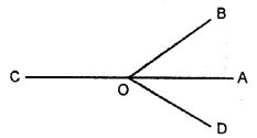 Selina Concise Mathematics Class 6 ICSE Solutions Chapter 24 Angles image - 21