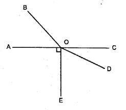 Selina Concise Mathematics Class 6 ICSE Solutions Chapter 24 Angles image - 23