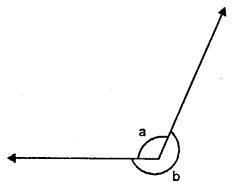 Selina Concise Mathematics Class 6 ICSE Solutions Chapter 24 Angles image - 24