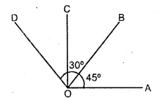 Selina Concise Mathematics Class 6 ICSE Solutions Chapter 24 Angles image - 29