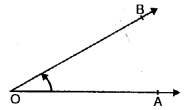 Selina Concise Mathematics Class 6 ICSE Solutions Chapter 24 Angles image - 3
