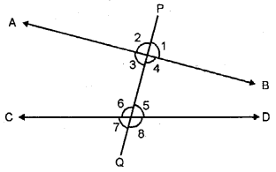 Selina Concise Mathematics Class 6 ICSE Solutions Chapter 25 Properties of Angles and Lines image - 3
