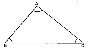 Selina Concise Mathematics Class 6 ICSE Solutions Chapter 26 Triangles image - 1
