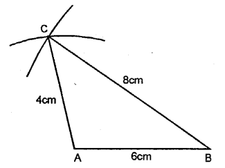 Selina Concise Mathematics Class 6 ICSE Solutions Chapter 26 Triangles image - 12