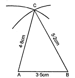 Selina Concise Mathematics Class 6 ICSE Solutions Chapter 26 Triangles image - 13