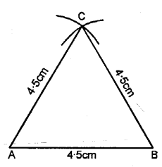 Selina Concise Mathematics Class 6 ICSE Solutions Chapter 26 Triangles image - 15