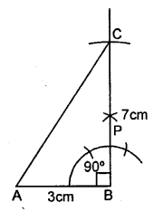 Selina Concise Mathematics Class 6 ICSE Solutions Chapter 26 Triangles image - 16