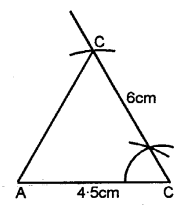 Selina Concise Mathematics Class 6 ICSE Solutions Chapter 26 Triangles image - 17