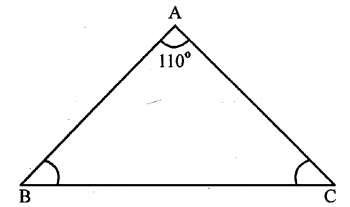 Selina Concise Mathematics Class 6 ICSE Solutions Chapter 26 Triangles image - 24