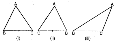Selina Concise Mathematics Class 6 ICSE Solutions Chapter 26 Triangles image - 3