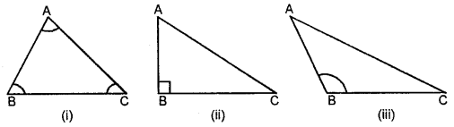 Selina Concise Mathematics Class 6 ICSE Solutions Chapter 26 Triangles image - 4