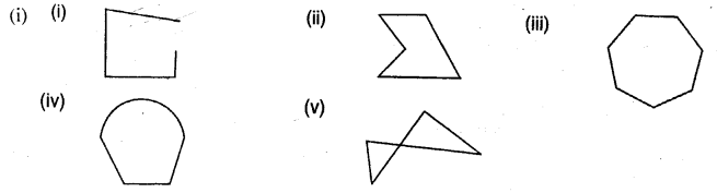 Selina Concise Mathematics Class 6 ICSE Solutions Chapter 28 Polygons IMAGE - 7
