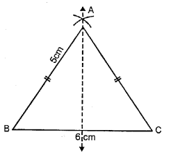 Selina Concise Mathematics Class 6 ICSE Solutions Chapter 30 Revision Exercise Symmetry image - 12
