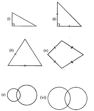 Selina Concise Mathematics Class 6 ICSE Solutions Chapter 30 Revision Exercise Symmetry image - 13
