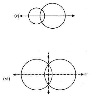 Selina Concise Mathematics Class 6 ICSE Solutions Chapter 30 Revision Exercise Symmetry image - 15