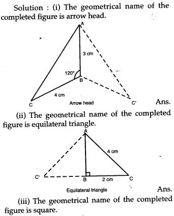 symmetry-icse-solutions-class-10-mathematics-24