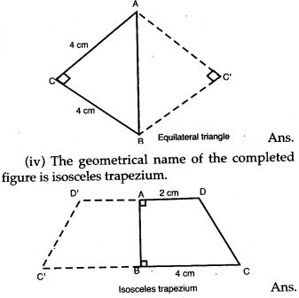 symmetry-icse-solutions-class-10-mathematics-25