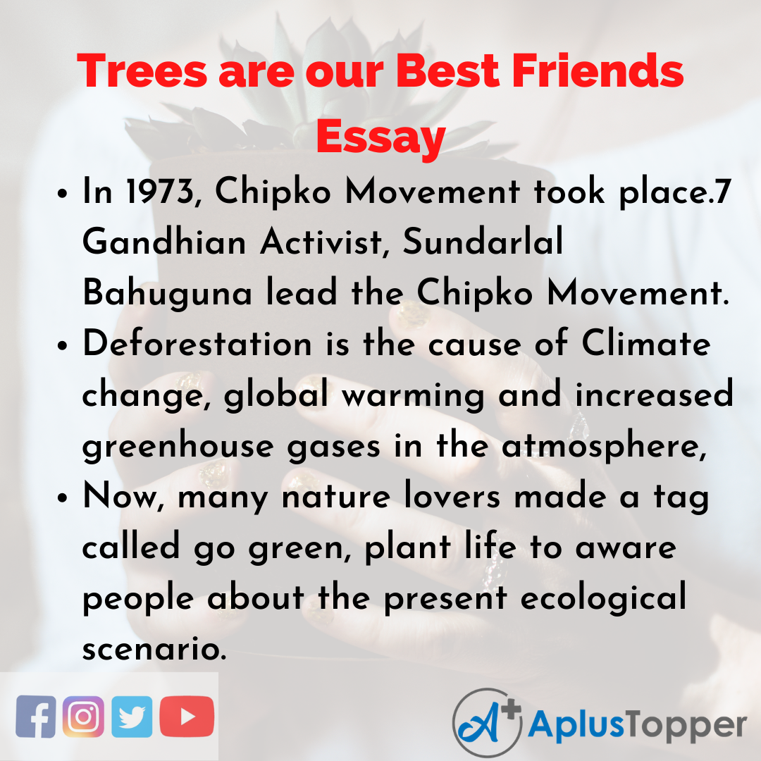 essay on nature our best friend