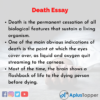 an essay on death