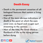 common app essays about death