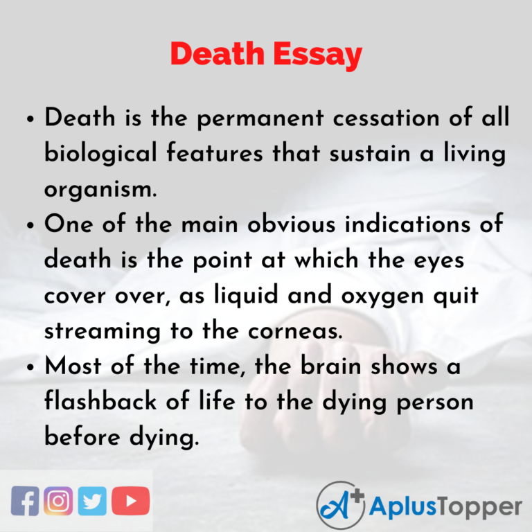 essay about the death of a loved one