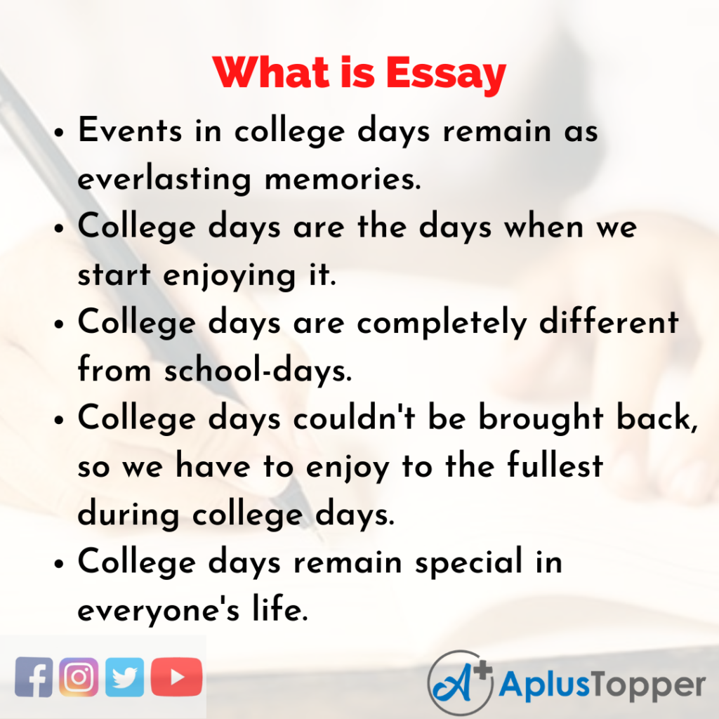 E3 m4.1 What is an essay
