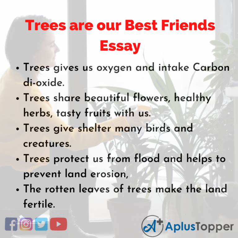 trees are our best friend essay for class 2