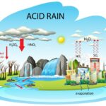 How Acid rain is formed equations?