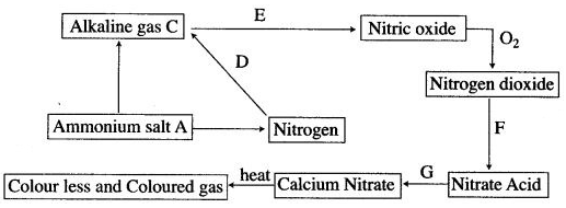 ICSE Solutions for Class 10 Chemistry - Study of Compounds Ammonia and Nitric Acid 11