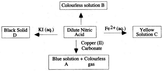 ICSE Solutions for Class 10 Chemistry - Study of Compounds Ammonia and Nitric Acid 21