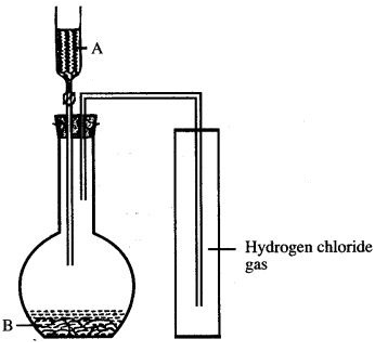 ICSE Solutions for Class 10 Chemistry - Study of Compounds Hydrogen Chloride 10