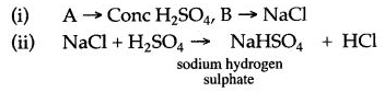 ICSE Solutions for Class 10 Chemistry - Study of Compounds Hydrogen Chloride 11