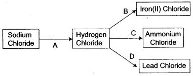 ICSE Solutions for Class 10 Chemistry - Study of Compounds Hydrogen Chloride 7