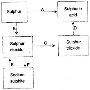 ICSE Solutions for Class 10 Chemistry - Sulphuric Acid 19