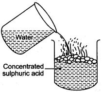 ICSE Solutions for Class 10 Chemistry - Sulphuric Acid 4