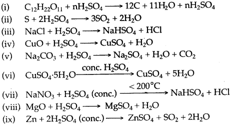 ICSE Solutions for Class 10 Chemistry - Sulphuric Acid 9