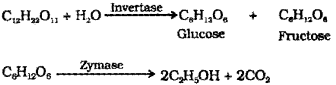 Plus Two Chemistry Chapter Wise Previous Questions Chapter 11 Alcohols, Phenols and Ethers 23