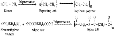 Plus Two Chemistry Chapter Wise Previous Questions Chapter 15 Polymers 2