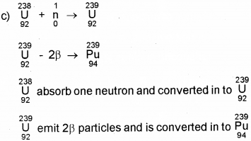 Plus Two Physics Chapter Wise Previous Questions Chapter 13 Nuclei 9