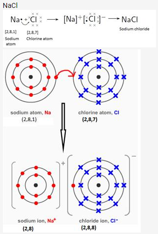 Selina Concise Chemistry Class 9 ICSE Solutions Atomic Structure and Chemical Bonding image - 17
