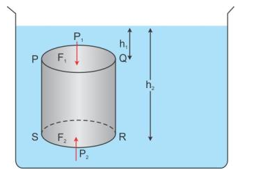 Selina Concise Physics Class 9 ICSE Solutions Upthrust in Fluids, Archimedes' Principle and Floatation image - 4