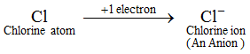 How many types of ions are there