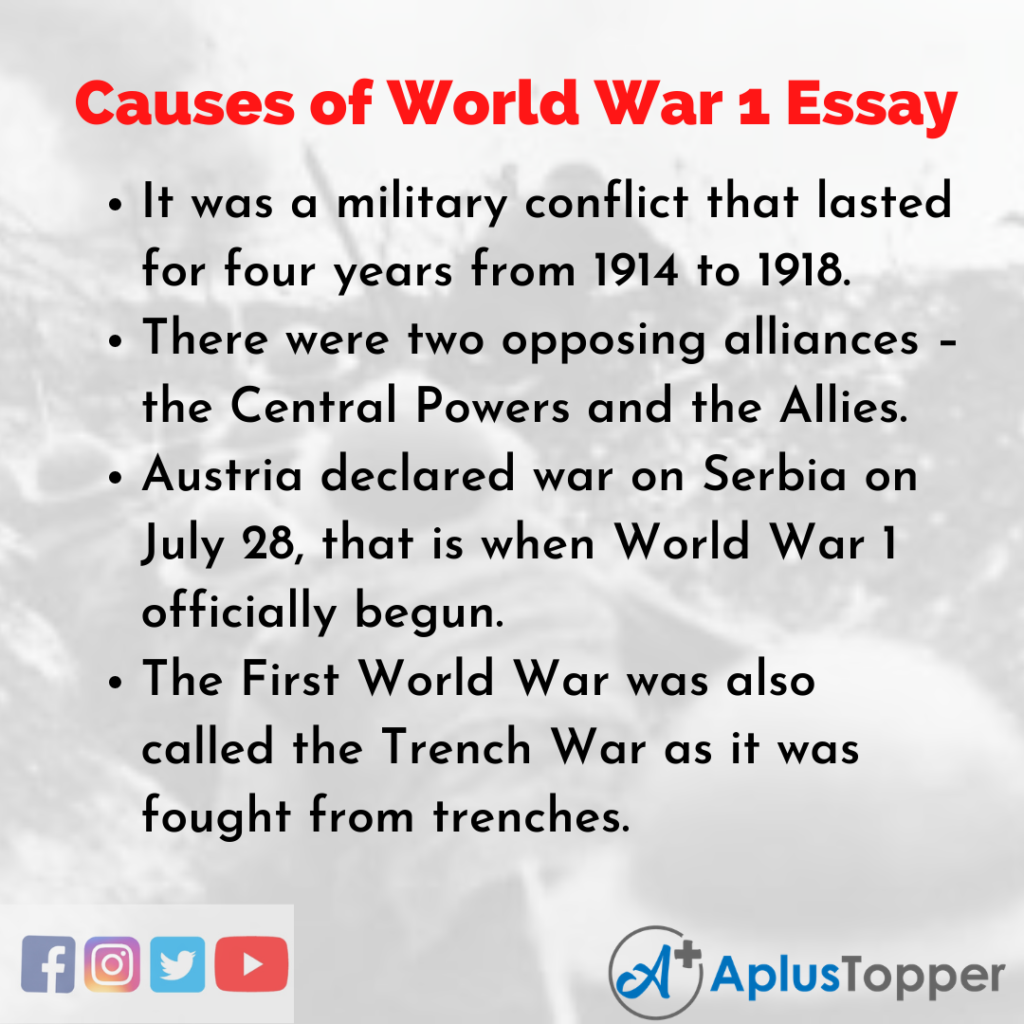what was the cause of world war 1 essay