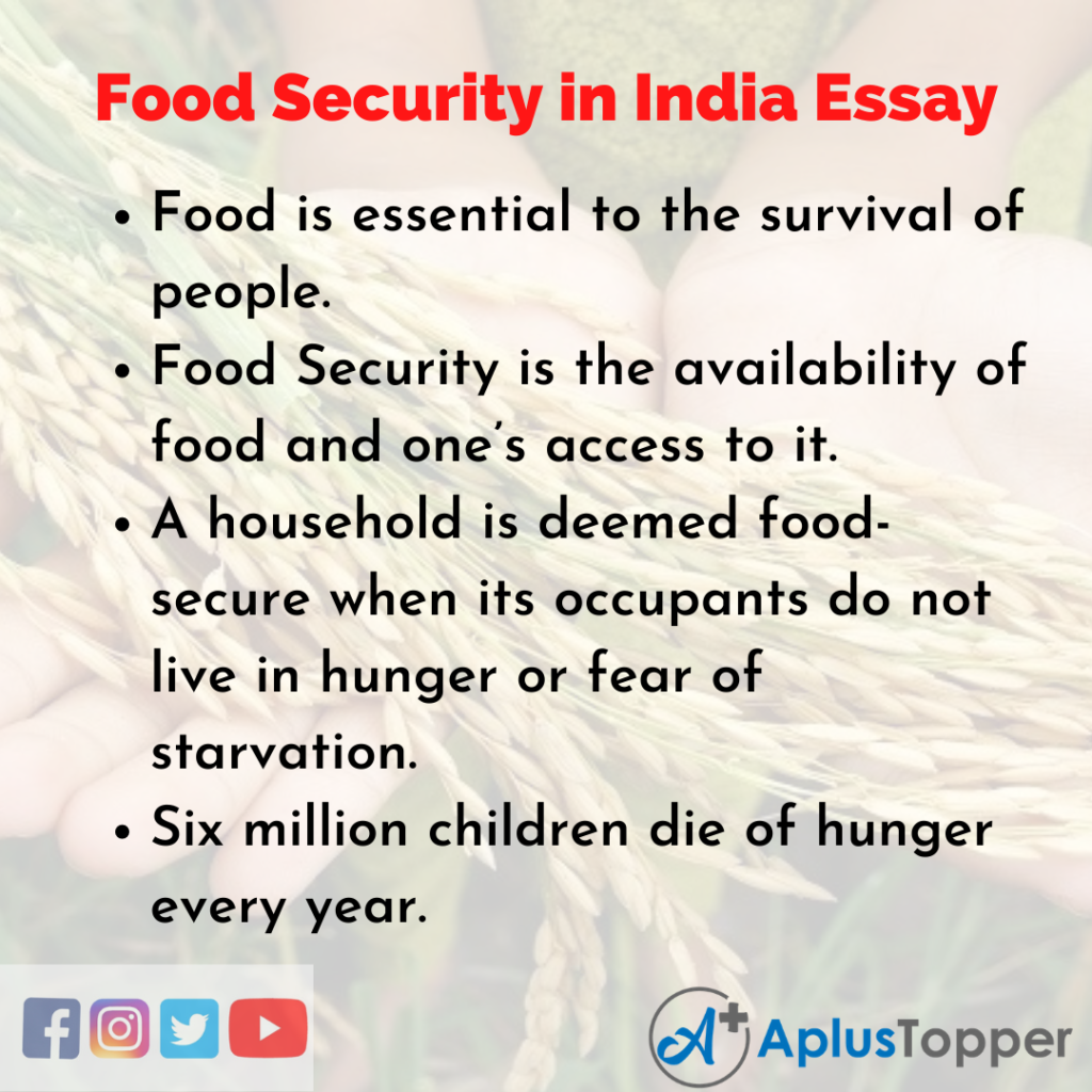 write an essay on food security