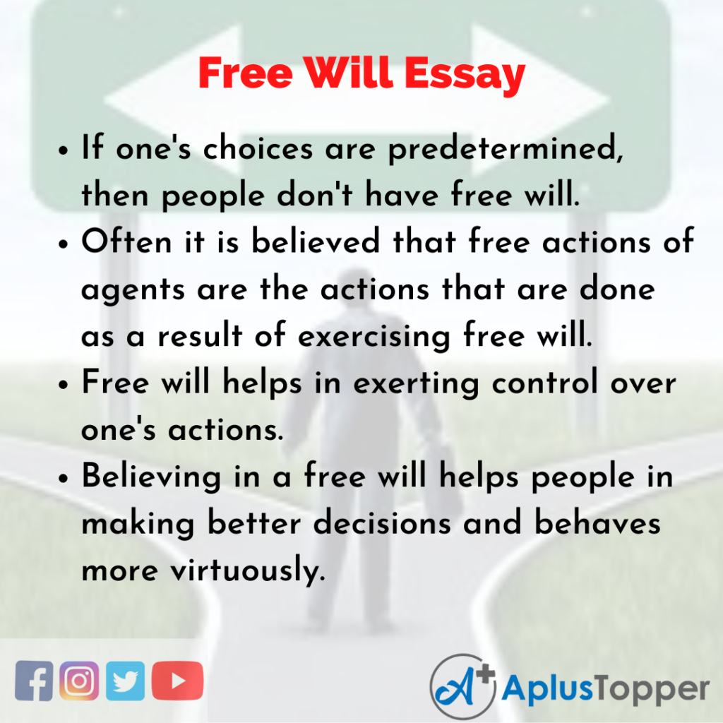 essay on free will