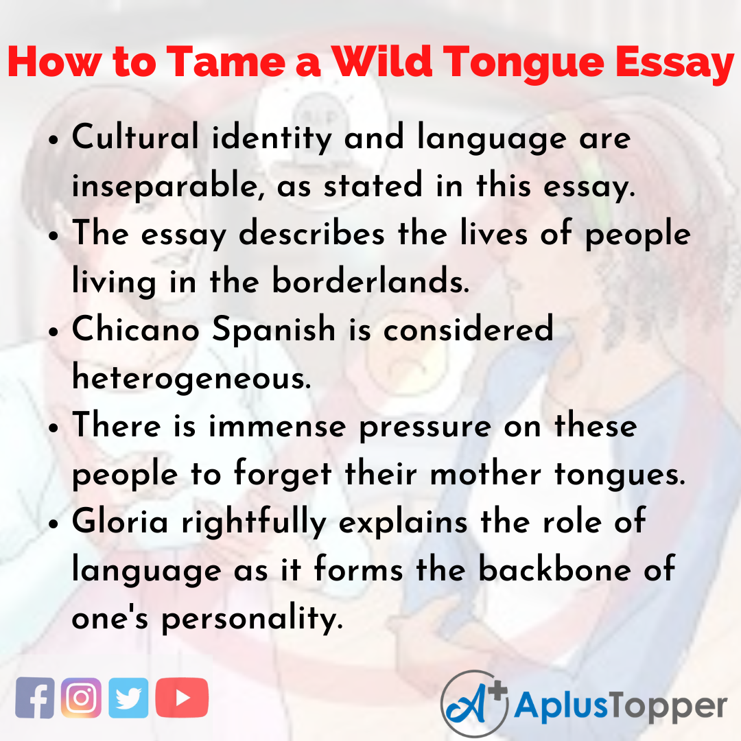 Essay about How to Tame a Wild Tongue