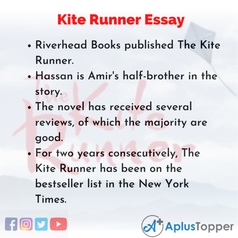 kite runner essay ideas