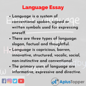 essay on home language and school language